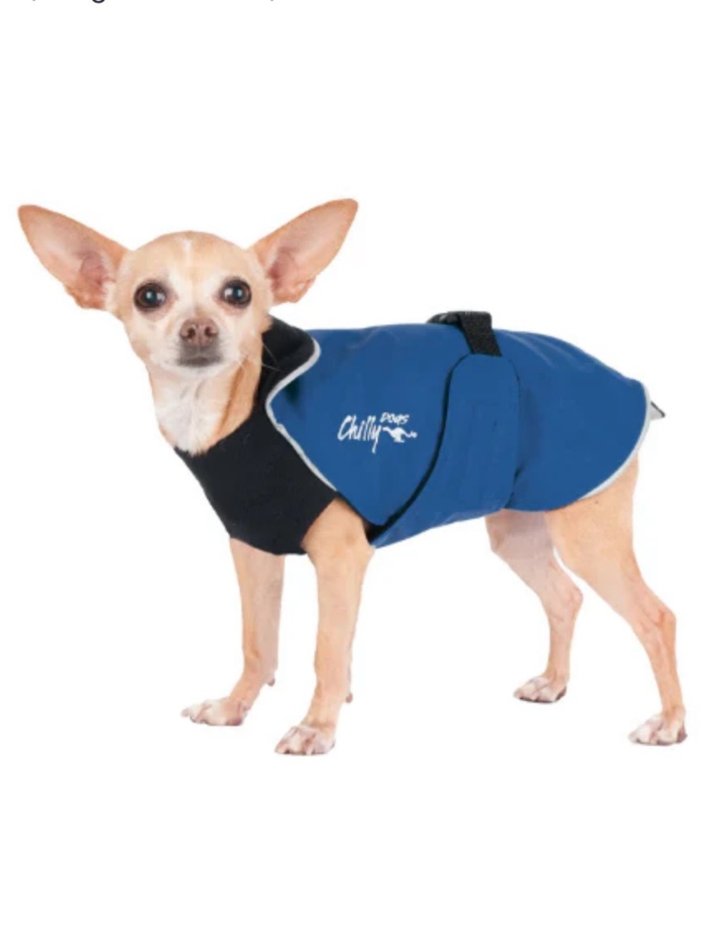 Chilly Dogs Northern Blazer Dog Raincoat in Blue / Black Size Standard 18
